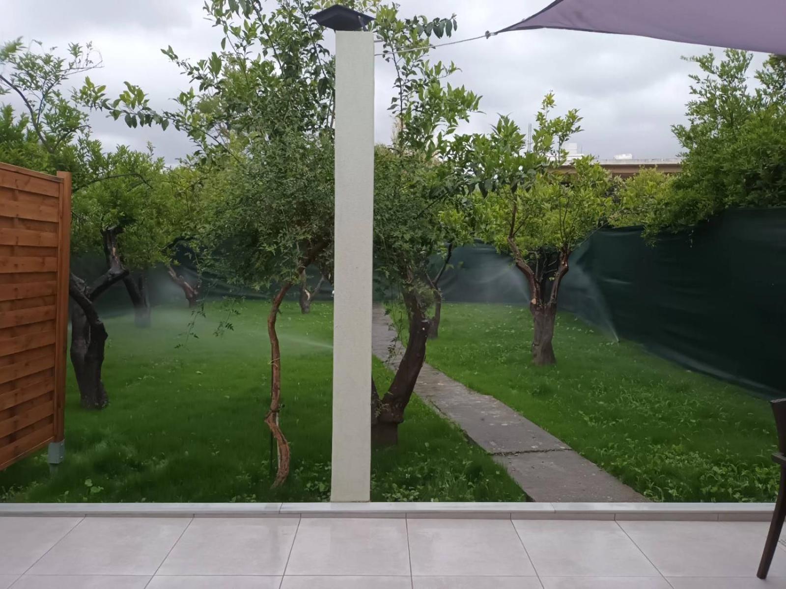 Olgas Cozy Leilighet Khania
